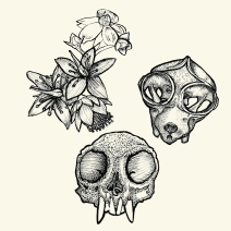 skulls and weeds